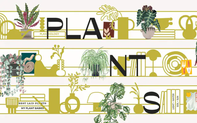 How Many Plants